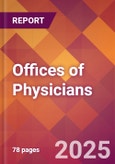 Offices of Physicians - 2024 U.S. Market Research Report with Updated Recession Risk Forecasts- Product Image