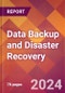 Data Backup and Disaster Recovery - 2024 U.S. Market Research Report with Updated Recession Risk Forecasts - Product Thumbnail Image