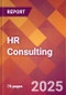 HR Consulting - 2024 U.S. Market Research Report with Updated Recession Risk Forecasts - Product Image