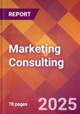 Marketing Consulting - 2024 U.S. Market Research Report with Updated Recession Risk Forecasts- Product Image