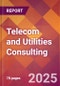 Telecom and Utilities Consulting - 2024 U.S. Market Research Report with Updated Recession Risk Forecasts - Product Image