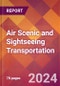 Air Scenic and Sightseeing Transportation - 2023 U.S. Market Research Report with Updated Recession Forecasts - Product Image
