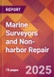 Marine Surveyors and Non-harbor Repair - 2024 U.S. Market Research Report with Updated Recession Risk Forecasts - Product Thumbnail Image