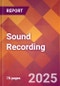 Sound Recording - 2024 U.S. Market Research Report with Updated Recession Risk Forecasts - Product Image