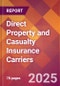 Direct Property and Casualty Insurance Carriers - 2024 U.S. Market Research Report with Updated Recession Risk Forecasts - Product Image