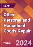 Other Personal and Household Goods Repair - 2024 U.S. Market Research Report with Updated Recession Risk Forecasts- Product Image
