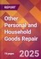 Other Personal and Household Goods Repair - 2024 U.S. Market Research Report with Updated Recession Risk Forecasts - Product Image