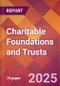 Charitable Foundations and Trusts - 2024 U.S. Market Research Report with Updated Recession Risk Forecasts - Product Image