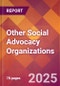 Other Social Advocacy Organizations - 2024 U.S. Market Research Report with Updated Recession Risk Forecasts - Product Image