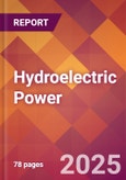 Hydroelectric Power - 2024 U.S. Market Research Report with Updated Recession Risk Forecasts- Product Image