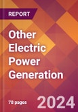 Other Electric Power Generation - 2024 U.S. Market Research Report with Updated Recession Risk Forecasts- Product Image