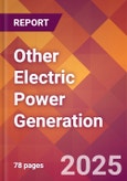 Other Electric Power Generation - 2024 U.S. Market Research Report with Updated Recession Risk Forecasts- Product Image