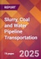 Slurry, Coal and Water Pipeline Transportation - 2024 U.S. Market Research Report with Updated Recession Risk Forecasts - Product Image