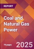 Coal and Natural Gas Power - 2024 U.S. Market Research Report with Updated Recession Risk Forecasts- Product Image