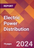 Electric Power Distribution - 2024 U.S. Market Research Report with Updated Recession Risk Forecasts- Product Image