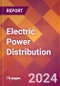 Electric Power Distribution - 2024 U.S. Market Research Report with Updated Recession Risk Forecasts - Product Image