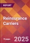 Reinsurance Carriers - 2024 U.S. Market Research Report with Updated Recession Risk Forecasts - Product Image