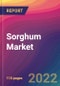 Sorghum Market Size, Market Share, Application Analysis, Regional Outlook, Growth Trends, Key Players, Competitive Strategies and Forecasts, 2022 To 2030 - Product Image