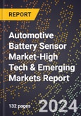 2024 Global Forecast for Automotive Battery Sensor Market (2025-2030 Outlook)-High Tech & Emerging Markets Report- Product Image