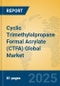 Cyclic Trimethylolpropane Formal Acrylate (CTFA) Global Market Insights 2025, Analysis and Forecast to 2030, by Manufacturers, Regions, Technology, Application - Product Thumbnail Image