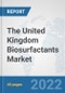 The United Kingdom Biosurfactants Market: Prospects, Trends Analysis, Market Size and Forecasts up to 2028 - Product Thumbnail Image