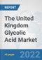 The United Kingdom Glycolic Acid Market: Prospects, Trends Analysis, Market Size and Forecasts up to 2028 - Product Thumbnail Image