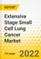 Extensive Stage Small Cell Lung Cancer Market - A Global and Regional Analysis: Focus on Epidemiology, Product, and Region - Analysis and Forecast, 2022-2032 - Product Thumbnail Image