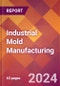 Industrial Mold Manufacturing - 2024 U.S. Market Research Report with Updated Recession Risk Forecasts - Product Thumbnail Image