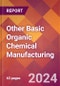 Other Basic Organic Chemical Manufacturing - 2024 U.S. Market Research Report with Updated Recession Risk Forecasts - Product Image
