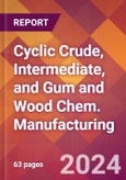Cyclic Crude, Intermediate, and Gum and Wood Chem. Manufacturing - 2024 U.S. Market Research Report with Updated Recession Risk Forecasts- Product Image