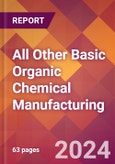 All Other Basic Organic Chemical Manufacturing - 2024 U.S. Market Research Report with Updated Recession Risk Forecasts- Product Image