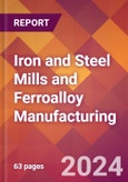Iron and Steel Mills and Ferroalloy Manufacturing - 2024 U.S. Market Research Report with Updated Recession Risk Forecasts- Product Image