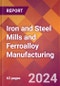 Iron and Steel Mills and Ferroalloy Manufacturing - 2024 U.S. Market Research Report with Updated Recession Risk Forecasts - Product Thumbnail Image