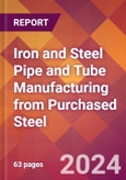 Iron and Steel Pipe and Tube Manufacturing from Purchased Steel - 2024 U.S. Market Research Report with Updated Recession Risk Forecasts- Product Image