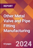 Other Metal Valve and Pipe Fitting Manufacturing - 2024 U.S. Market Research Report with Updated Recession Risk Forecasts- Product Image