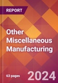 Other Miscellaneous Manufacturing - 2024 U.S. Market Research Report with Updated Recession Risk Forecasts- Product Image