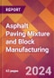 Asphalt Paving Mixture and Block Manufacturing - 2024 U.S. Market Research Report with Updated Recession Risk Forecasts - Product Image