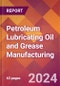 Petroleum Lubricating Oil and Grease Manufacturing - 2024 U.S. Market Research Report with Updated Recession Risk Forecasts - Product Thumbnail Image