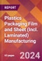 Plastics Packaging Film and Sheet (Incl. Laminated) Manufacturing - 2024 U.S. Market Research Report with Updated Recession Risk Forecasts - Product Image