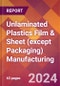Unlaminated Plastics Film & Sheet (except Packaging) Manufacturing - 2023 U.S. Market Research Report with Updated COVID-19 & Recession Forecasts - Product Image