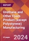 Urethane and Other Foam Product (except Polystyrene) Manufacturing - 2024 U.S. Market Research Report with Updated Recession Risk Forecasts - Product Image
