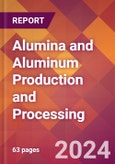 Alumina and Aluminum Production and Processing - 2024 U.S. Market Research Report with Updated Recession Risk Forecasts- Product Image