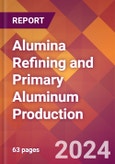 Alumina Refining and Primary Aluminum Production - 2024 U.S. Market Research Report with Updated Recession Risk Forecasts- Product Image