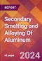 Secondary Smelting and Alloying Of Aluminum - 2024 U.S. Market Research Report with Updated Recession Risk Forecasts - Product Thumbnail Image