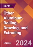 Other Aluminum Rolling, Drawing, and Extruding - 2024 U.S. Market Research Report with Updated Recession Risk Forecasts- Product Image