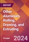Other Aluminum Rolling, Drawing, and Extruding - 2024 U.S. Market Research Report with Updated Recession Risk Forecasts - Product Image