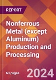 Nonferrous Metal (except Aluminum) Production and Processing - 2024 U.S. Market Research Report with Updated Recession Risk Forecasts- Product Image