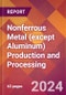 Nonferrous Metal (except Aluminum) Production and Processing - 2024 U.S. Market Research Report with Updated Recession Risk Forecasts - Product Image