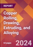 Copper Rolling, Drawing, Extruding, and Alloying - 2024 U.S. Market Research Report with Updated Recession Risk Forecasts- Product Image