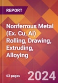 Nonferrous Metal (Ex. Cu, Al) Rolling, Drawing, Extruding, Alloying - 2024 U.S. Market Research Report with Updated Recession Risk Forecasts- Product Image